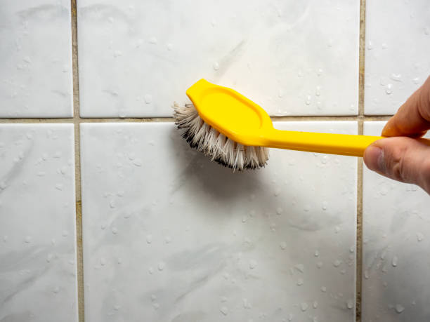 Best Toxic Mold Removal  in Hudson, CO