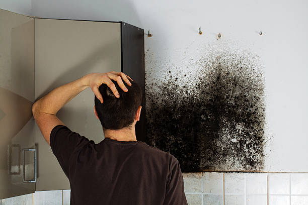 Best Crawl Space Mold Removal  in Hudson, CO